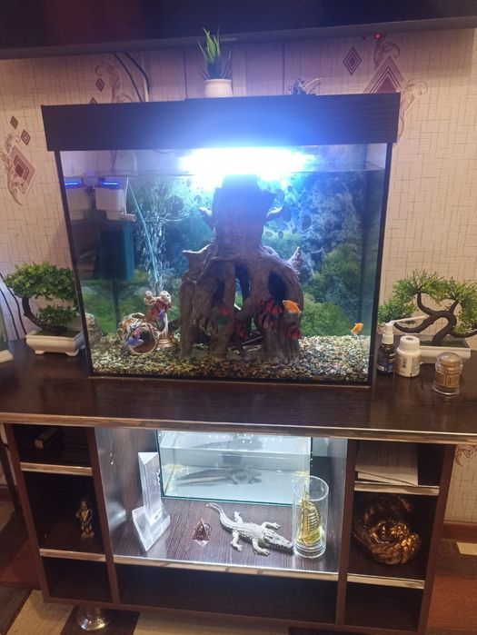 Продам аквариумы.