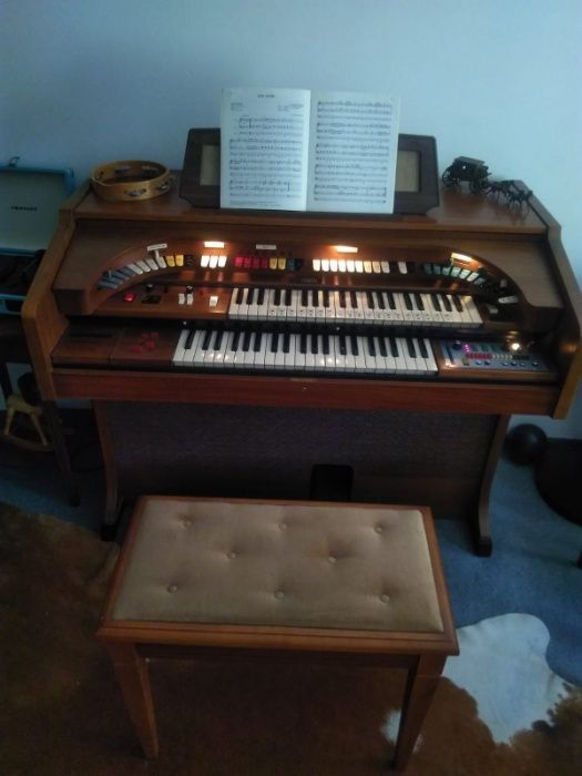 orga electronica