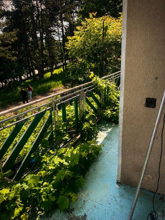 Двуетажна къща с гараж, лозе и стопанска постройка в гр. Ветово