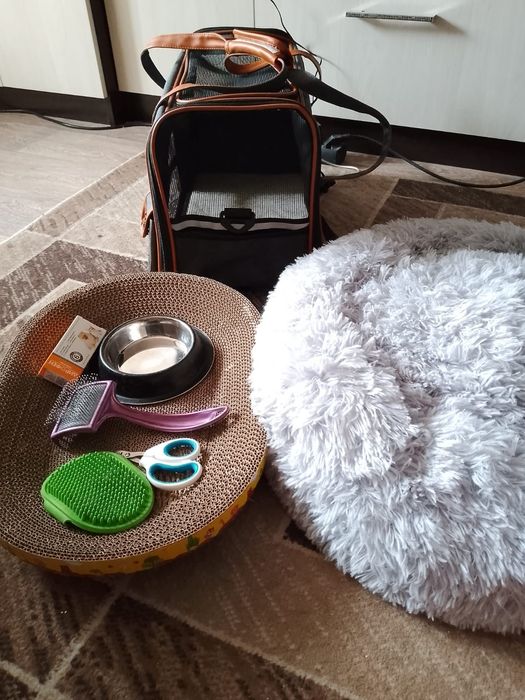 Переноска для кошек