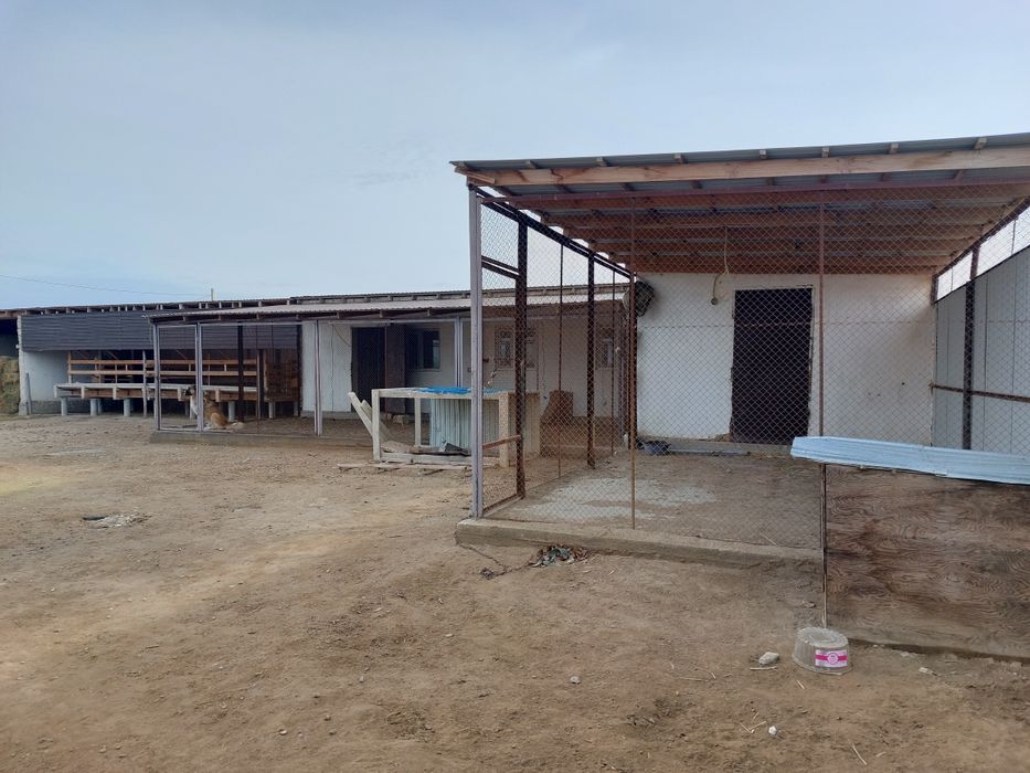 Фазенда (откорм) сатылады