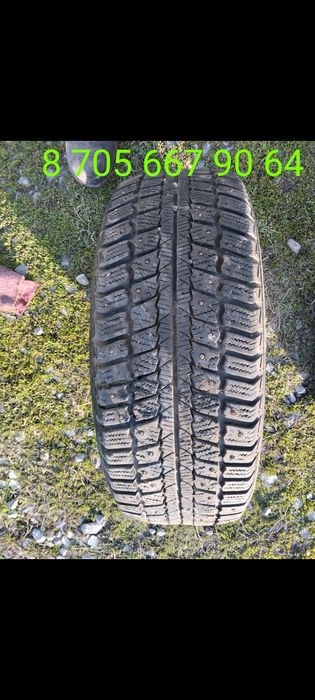 Болоны на 16 зима.