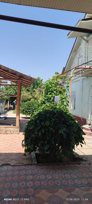 Uy Sotiladi Toʻy tepada.Продаётся дом на Нурафшанй