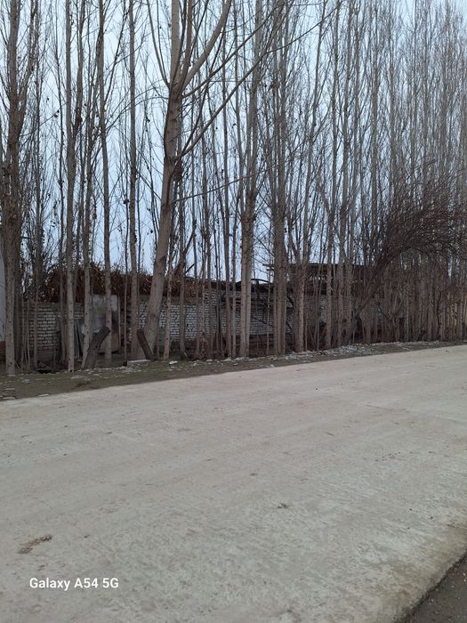 20 сотик йер уй жой учун сотилади