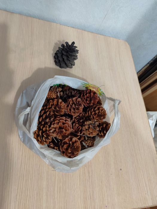 Шишки сосновые для декора