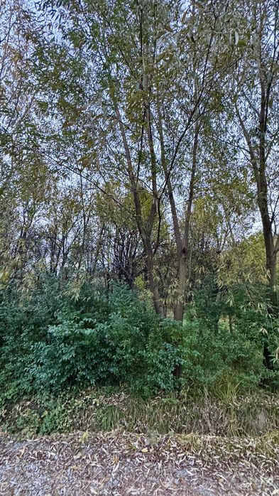 Teren intravilan în Feleacu, 1150mp, construibil, panorama, utilitati