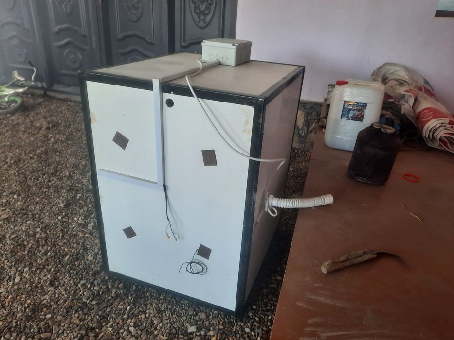 Инкубатор 500+ та тухум кетади. INKUBATOR