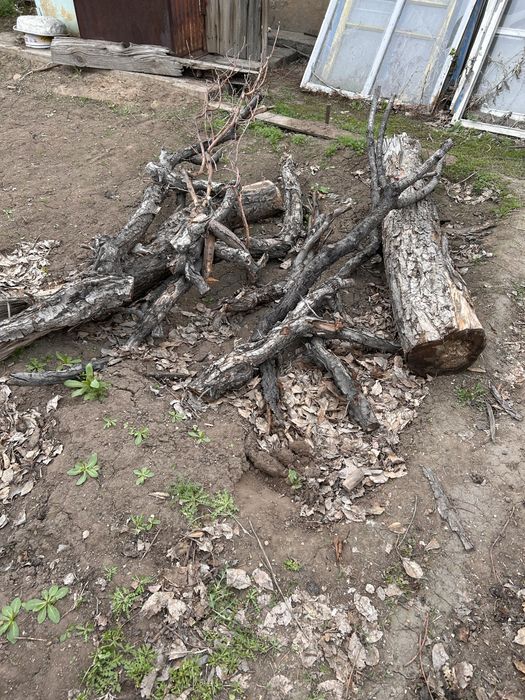 Отдам бесплатно , дрова