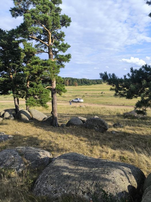 Участок в лесу, Тастыозек