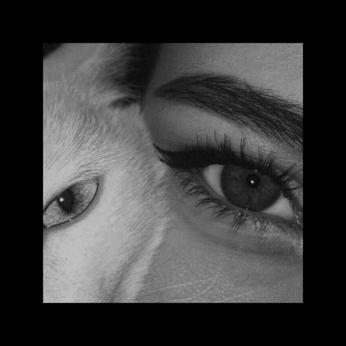 Онлайн подруга  .