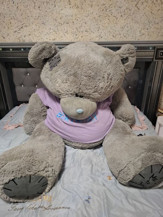 Katta Teddy Ayig‘i