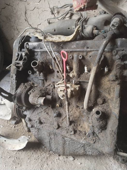 гарантя жоқ бірақ жақсы