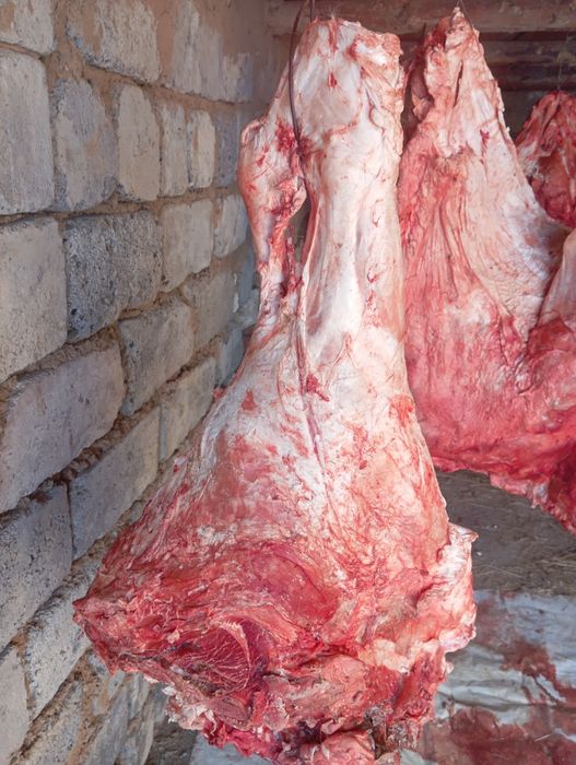 Говядина молодняк