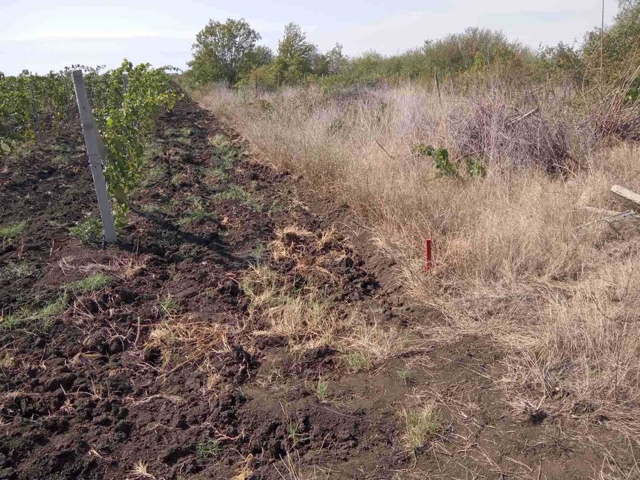 Продава се Парцел в Поморие - 8148 кв.м за 6 €/кв.м - Снимка #12