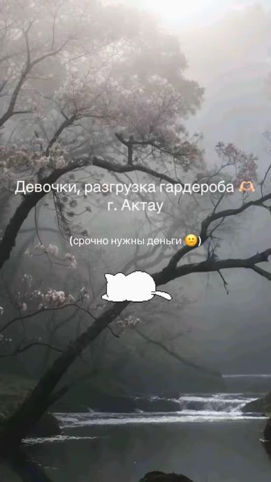 Разбор гардероба