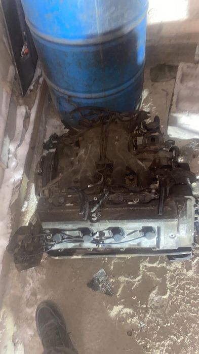 Тоиато превия 1994год матор