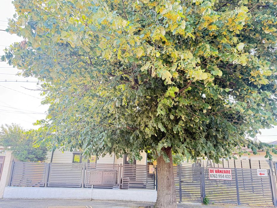 Casa de vanzare - strada Pacii - Ramnicu Sarat