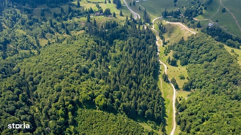 Poiana Brașov, Teren intravilan 2.763 mp , utilitati, Str. Stânii,