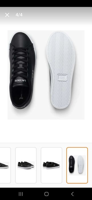 Lacoste shoes number 43