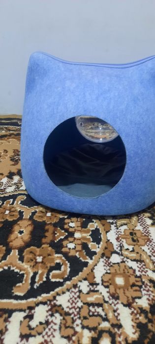 Домик для кошек и котят