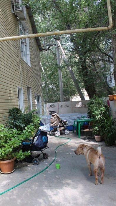 Продажа Дома