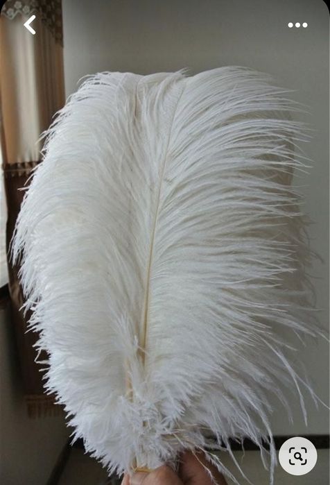 Топ качество! Щраусови бели пера за декорация