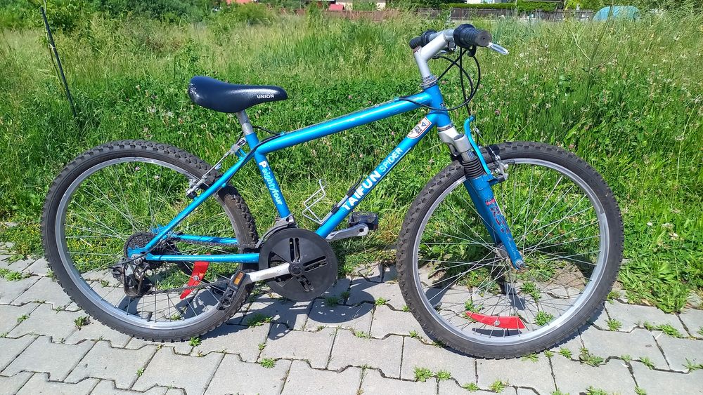 Bicicletă copii MTB Taifun Spider P84