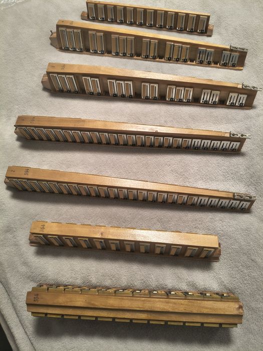 Vind muzică acordeon Guerrini student