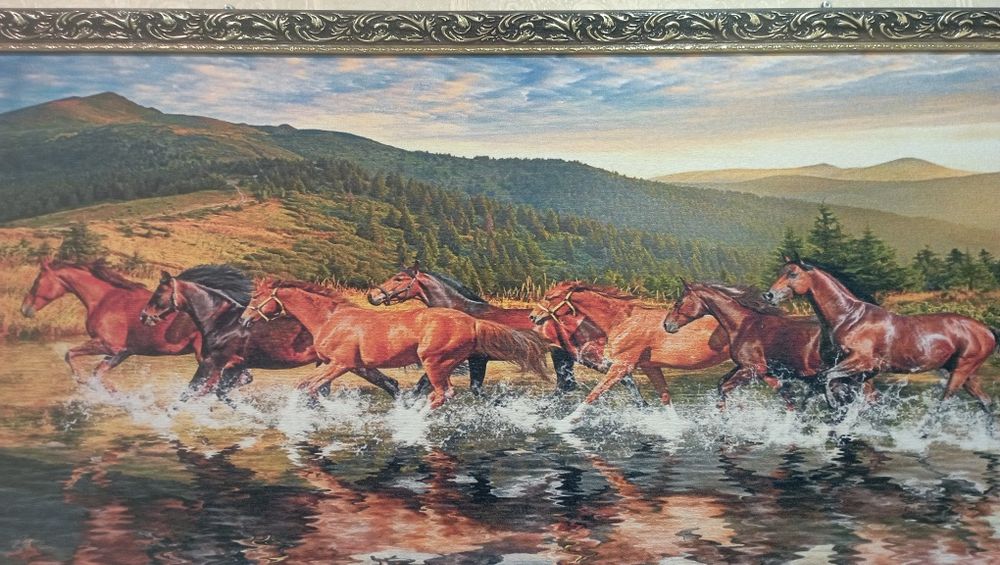 Продам большую и красивую картину на холсте , новая , 63/122 за 10.00 ...