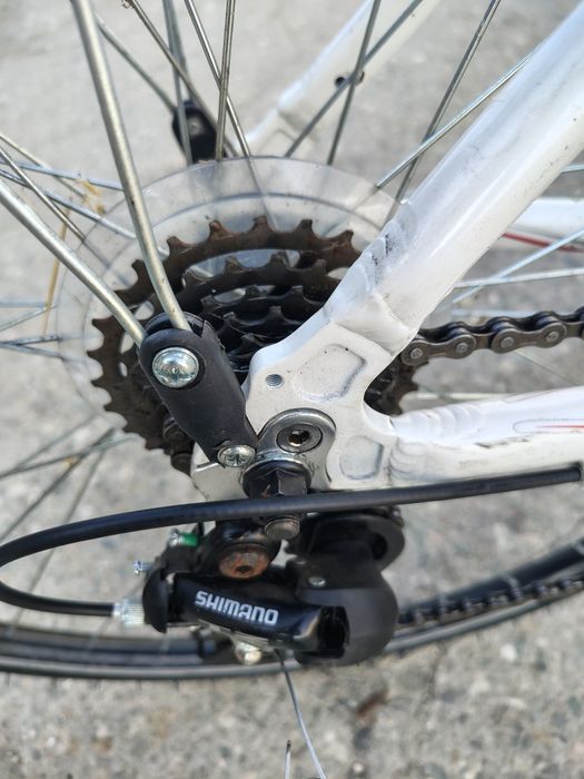 Bicicleta Cursiera Apollo Envoy roti700x28c cadru aluminiu.