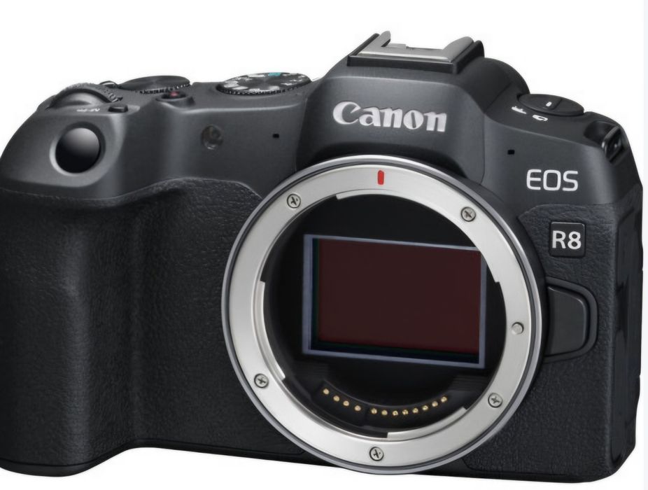 Безогледален фотоапарат Canon - EOS R8, 24.2MPx, Black + 2 бр.  Батерии  LP-E17