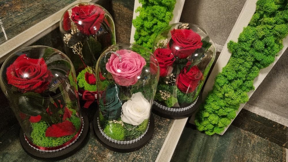 Trandafiri criogenați