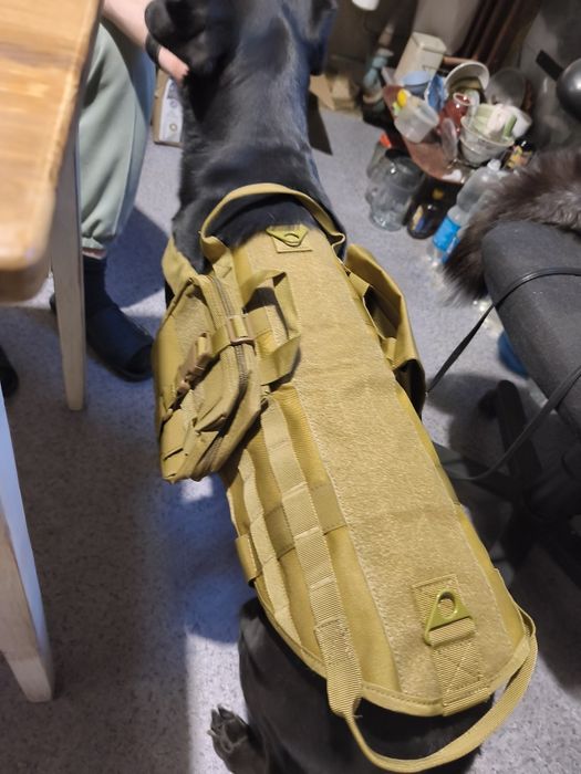 Тактическая шлейка для собак