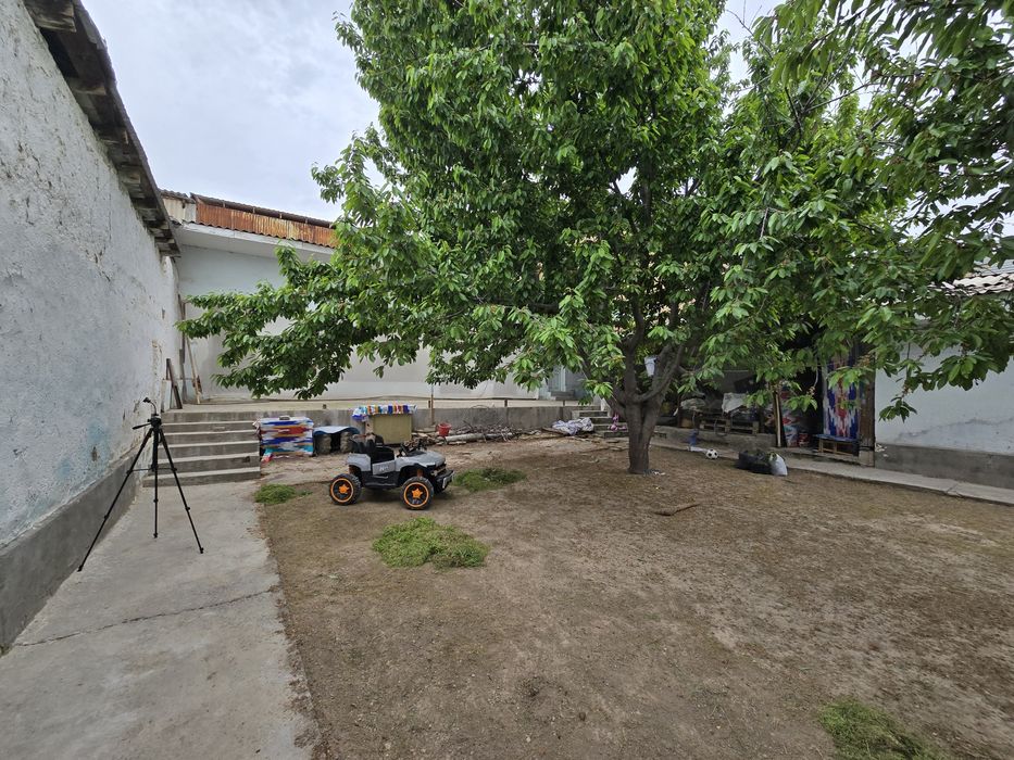 Срочно Сотувда Ховли