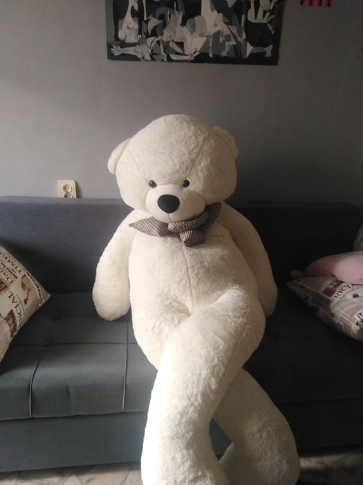 Продам медведя и 2 телевизора