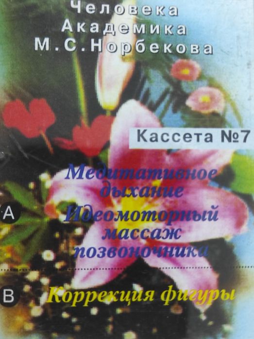 Аудиокурс М. Норбекова
