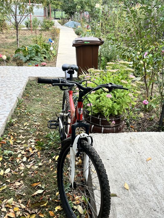 Bicicleta MTB 24" RICH R2448A, full suspension