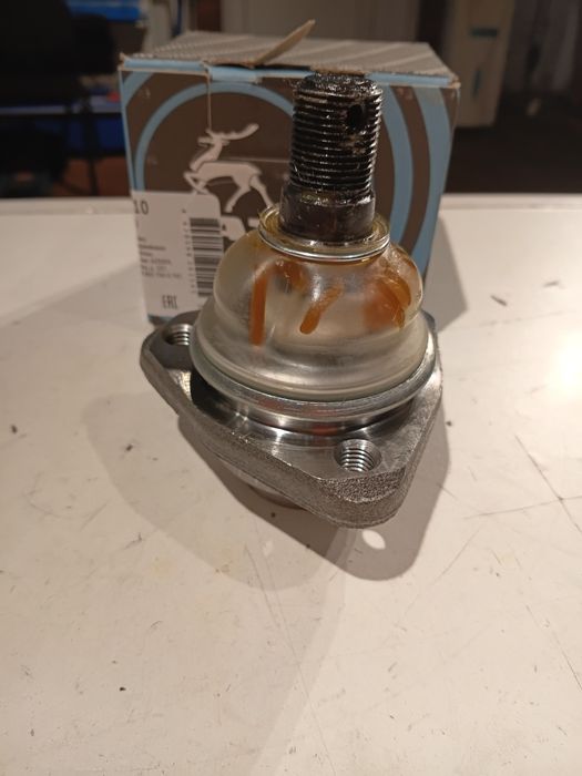 Нижняя   шаровая соболь