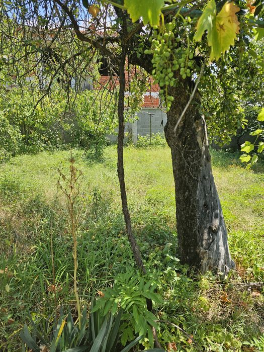 Продава се Къща в с. Габарево, Област Стара Загора - 25 кв.м за 978 €/кв.м - Снимка #8