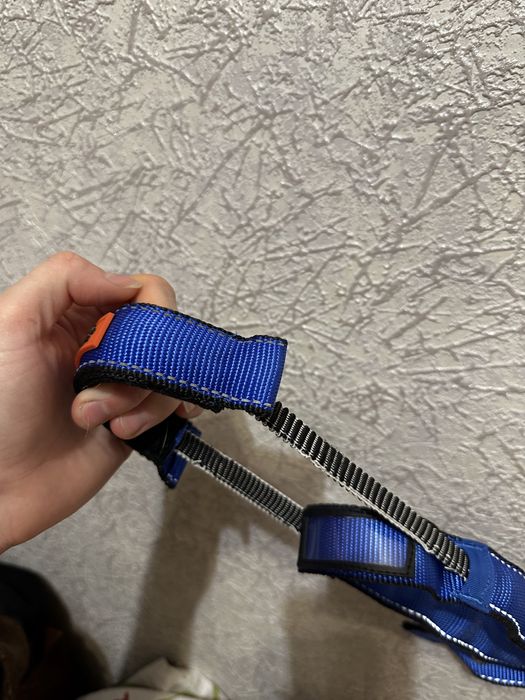 Ошейник для собаки большой