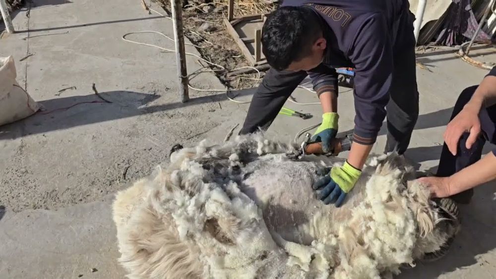 Sifatli va ishonchli xizmat