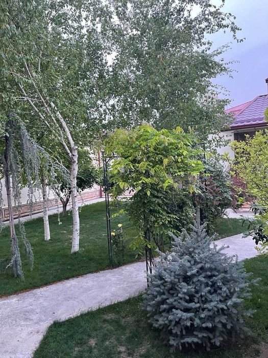 Продается ДОМ, 5 комнат,6 соток, М-Улугбекский район