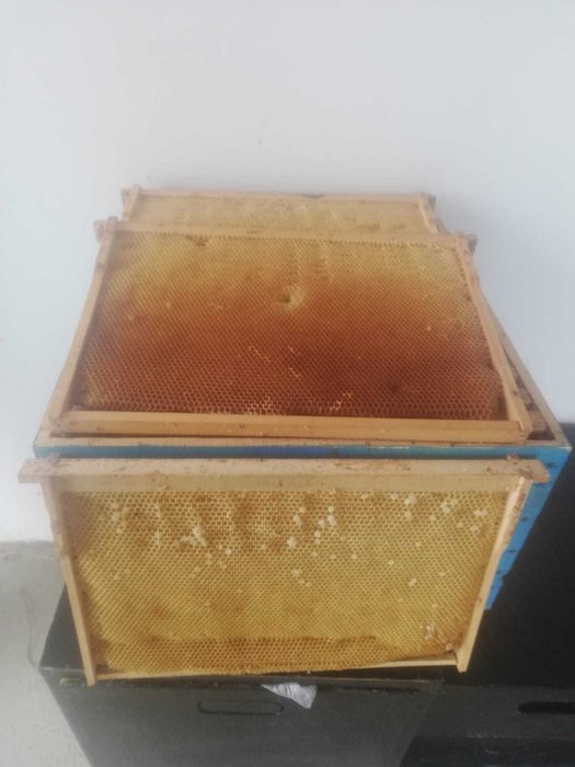 rame pentru albine