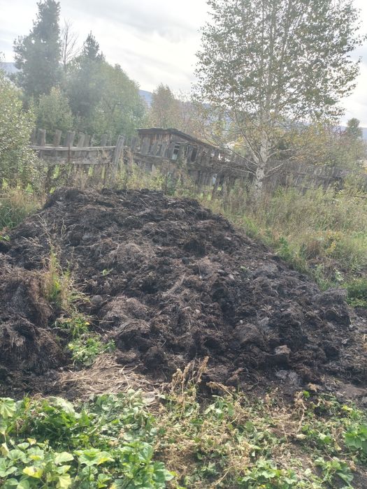 Продам перегной!