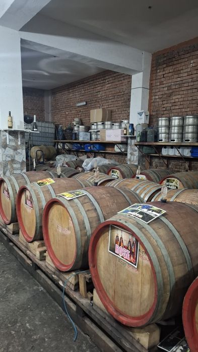 Struguri de Vin 2025