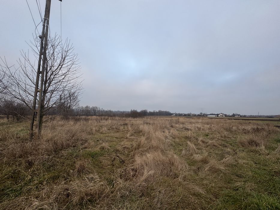 Teren intravilan horodnic de jos