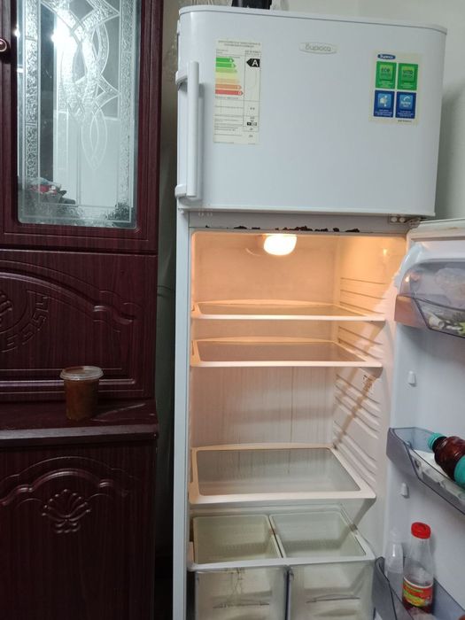 Muzlatgich xolodelnik Bryusa