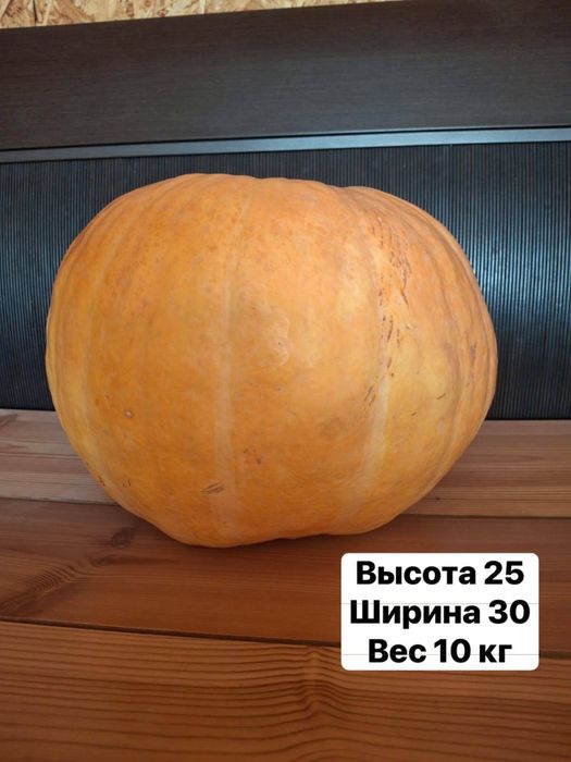 Тыква сортовая