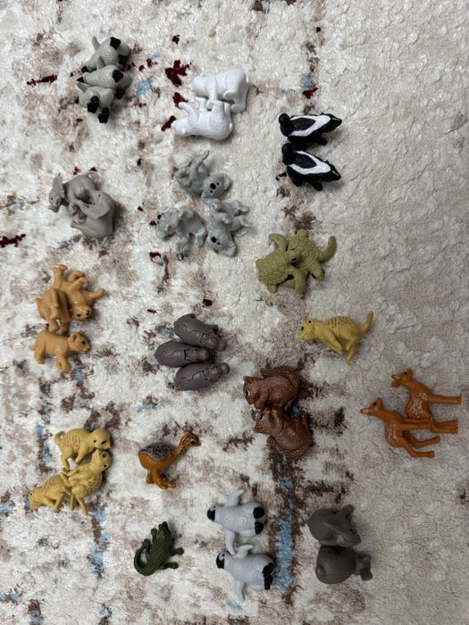 Натунс 2025 киндер