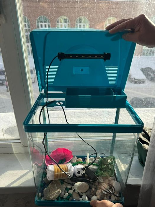 Продам аквариум 10 л